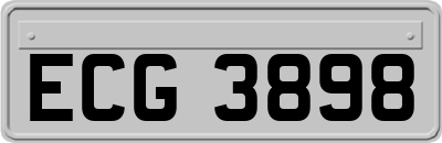 ECG3898