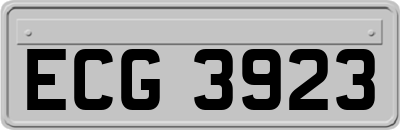 ECG3923