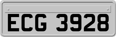ECG3928