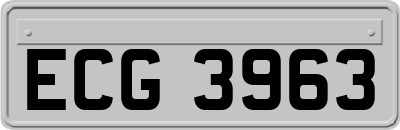 ECG3963