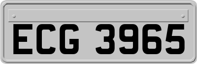 ECG3965