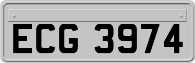 ECG3974
