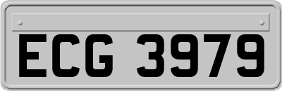 ECG3979