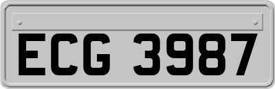 ECG3987