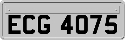 ECG4075