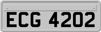 ECG4202