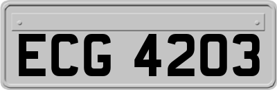ECG4203
