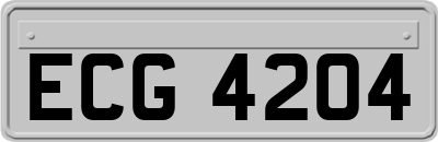 ECG4204