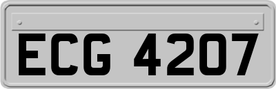 ECG4207