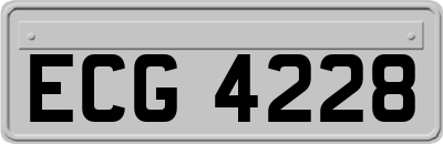 ECG4228