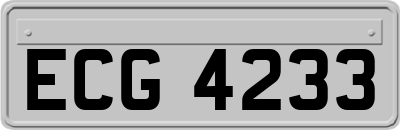 ECG4233