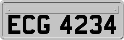 ECG4234