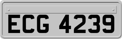 ECG4239