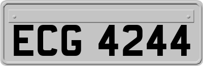 ECG4244