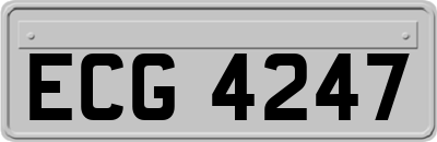 ECG4247
