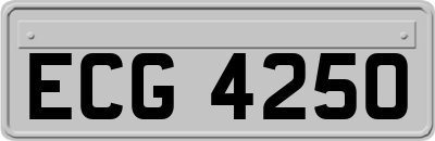 ECG4250