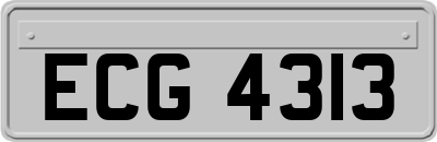 ECG4313