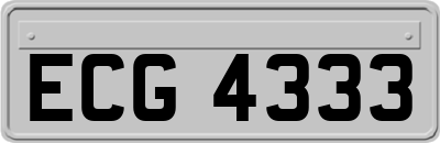 ECG4333