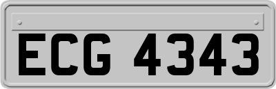 ECG4343