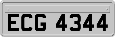 ECG4344