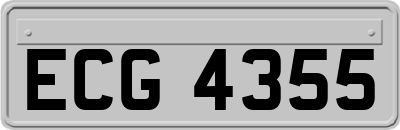 ECG4355