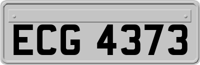 ECG4373