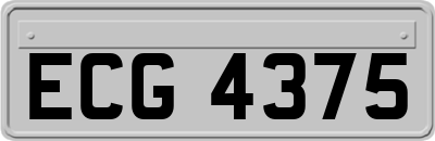 ECG4375