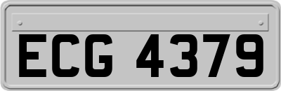 ECG4379