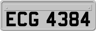 ECG4384