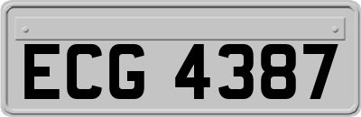 ECG4387