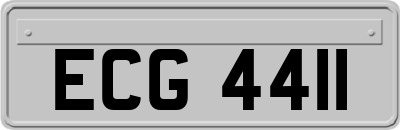 ECG4411