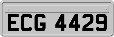 ECG4429