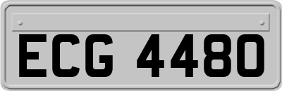ECG4480