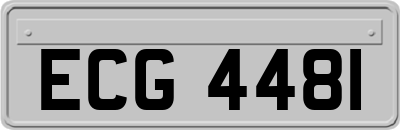 ECG4481