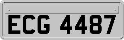 ECG4487