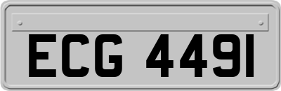 ECG4491