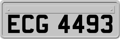 ECG4493
