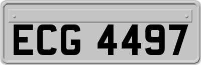 ECG4497