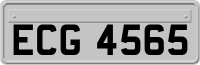 ECG4565