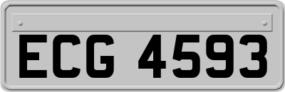ECG4593