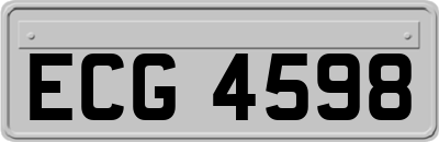 ECG4598