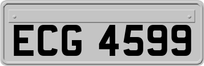 ECG4599
