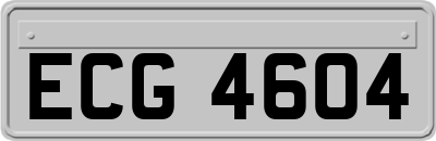ECG4604