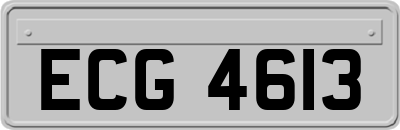 ECG4613