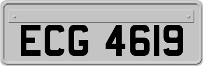 ECG4619