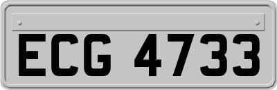 ECG4733