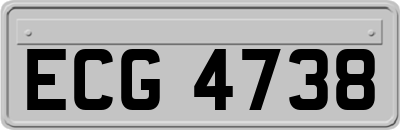 ECG4738