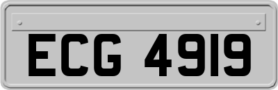 ECG4919