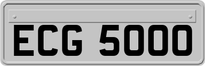 ECG5000