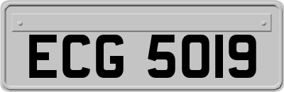 ECG5019
